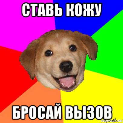 ставь кожу бросай вызов, Мем Advice Dog