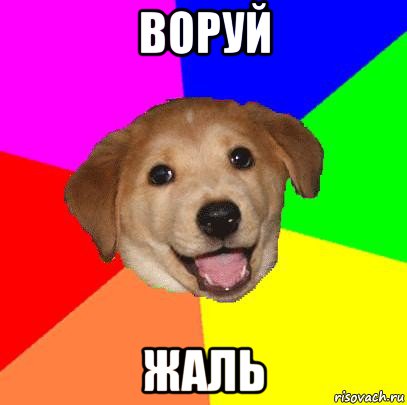 воруй жаль, Мем Advice Dog