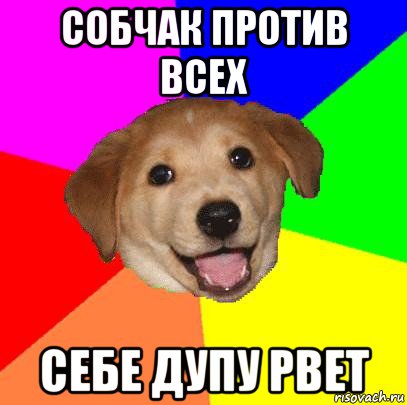 собчак против всех себе дупу рвет, Мем Advice Dog