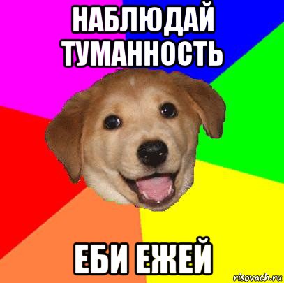 наблюдай туманность еби ежей, Мем Advice Dog