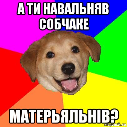 а ти навальняв собчаке матерьяльнiв?, Мем Advice Dog