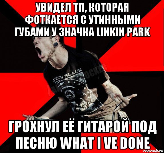 увидел тп, которая фоткается с утинными губами у значка linkin park грохнул её гитарой под песню what i ve done