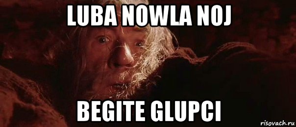 luba nowla noj begite glupci, Мем бегите глупцы