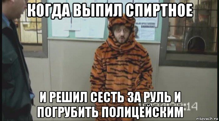 когда выпил спиртное и решил сесть за руль и погрубить полицейским, Мем Бородач в костюме тигра (Наша Раша)
