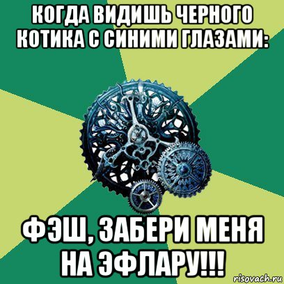 когда видишь черного котика с синими глазами: фэш, забери меня на эфлару!!!, Мем Часодеи