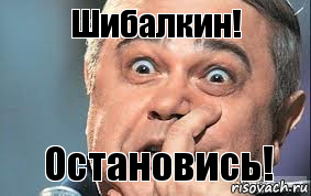 Шибалкин! Остановись!