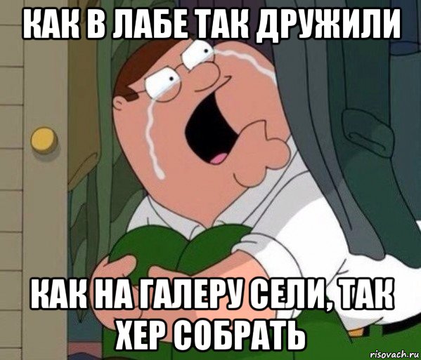 как в лабе так дружили как на галеру сели, так хер собрать, Мем Да заткнись ты уже