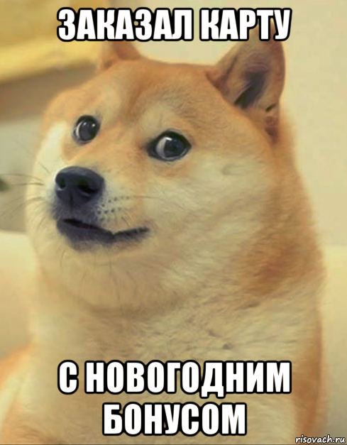 заказал карту                       с новогодним бонусом, Мем doge woof