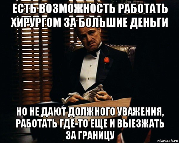 есть возможность работать хирургом за большие деньги но не дают должного уважения, работать где-то еще и выезжать за границу, Мем Дон Вито Корлеоне