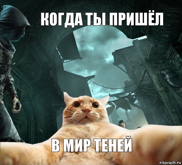 Когда ты пришёл В мир теней