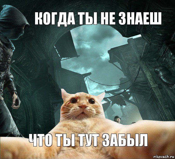 когда ты не знаеш что ты тут забыл