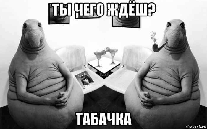 ты чего ждёш? табачка, Мем  Два ждуна