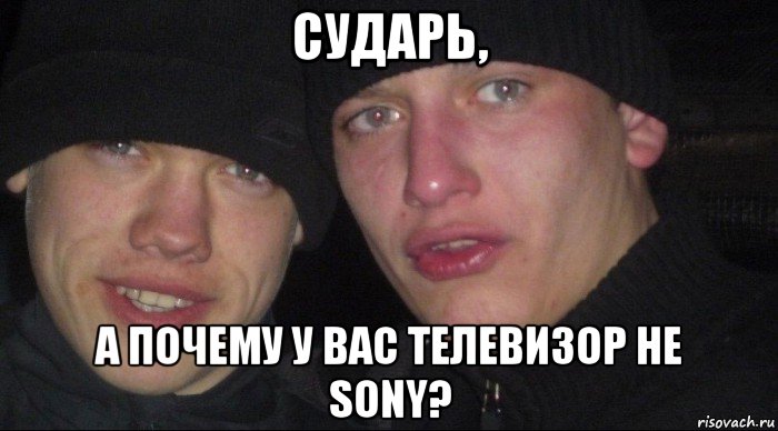 сударь, а почему у вас телевизор не sony?, Мем Ебать ты лох