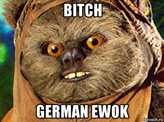 bitch german ewok, Мем Эвок