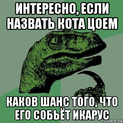 интересно, если назвать кота цоем каков шанс того, что его собьёт икарус, Мем Филосораптор