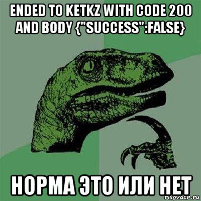 ended to ketkz with code 200 and body {"success":false} норма это или нет, Мем Филосораптор