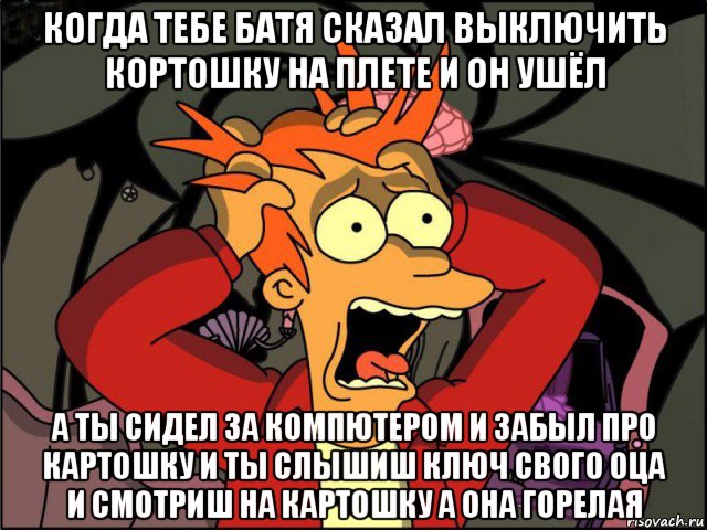 когда тебе батя сказал выключить кортошку на плете и он ушёл а ты сидел за компютером и забыл про картошку и ты слышиш ключ свого оца и смотриш на картошку а она горелая, Мем Фрай в панике