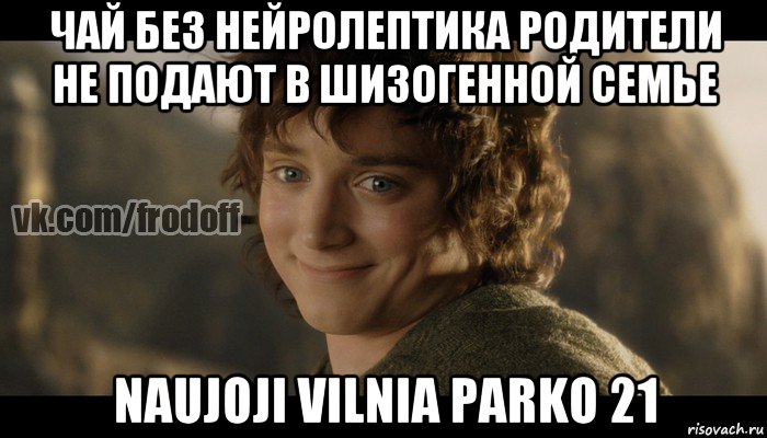 чай без нейролептика родители не подают в шизогенной семье naujoji vilnia parko 21, Мем  Фродо