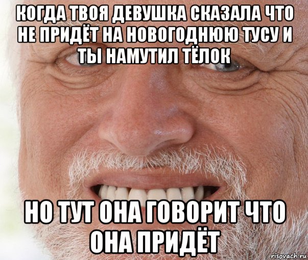 когда твоя девушка сказала что не придёт на новогоднюю тусу и ты намутил тёлок но тут она говорит что она придёт, Мем Дед Гарольд