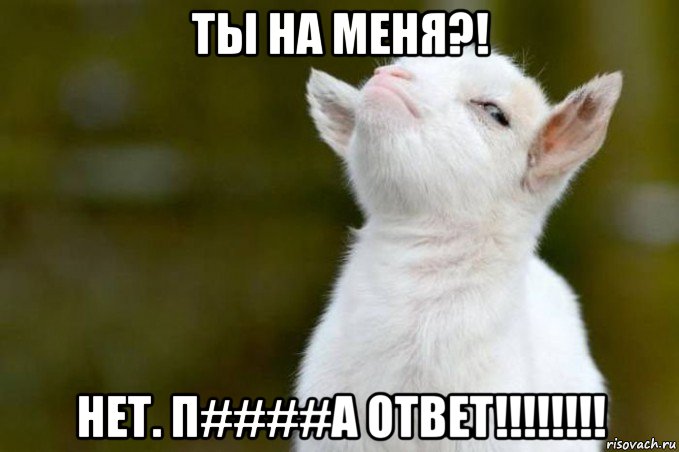 ты на меня?! нет. п####а ответ!!!!!!!!, Мем  Гордый козленок