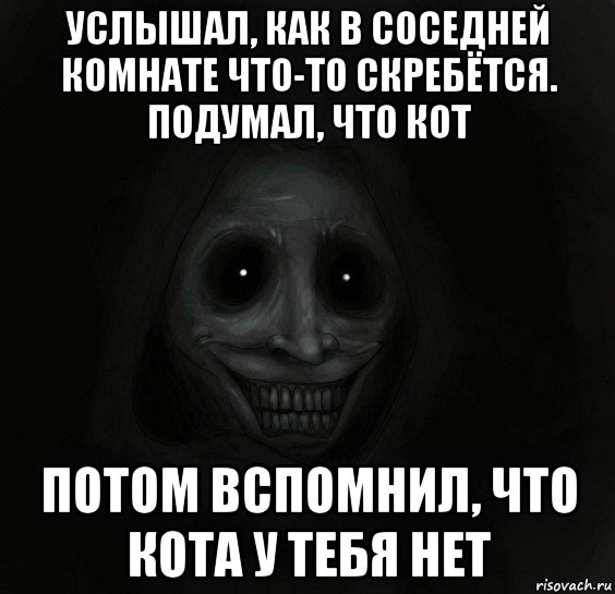 услышал, как в соседней комнате что-то скребётся. подумал, что кот потом вспомнил, что кота у тебя нет, Мем Ночной гость