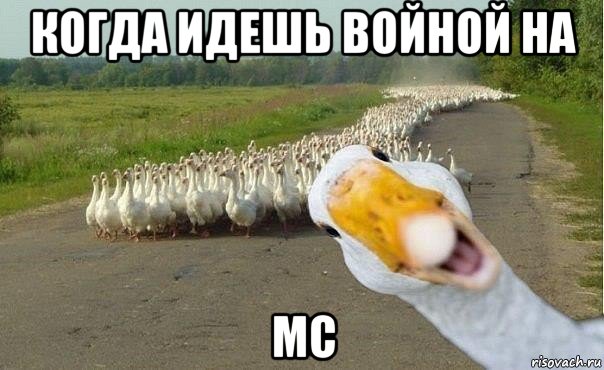 когда идешь войной на мс, Мем гуси