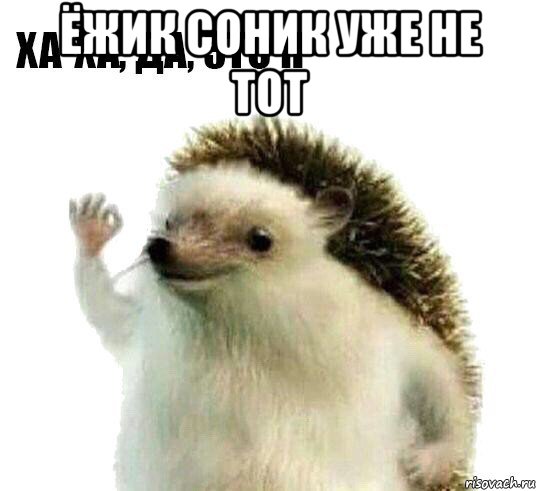 ёжик соник уже не тот , Мем Ха-ха да это я