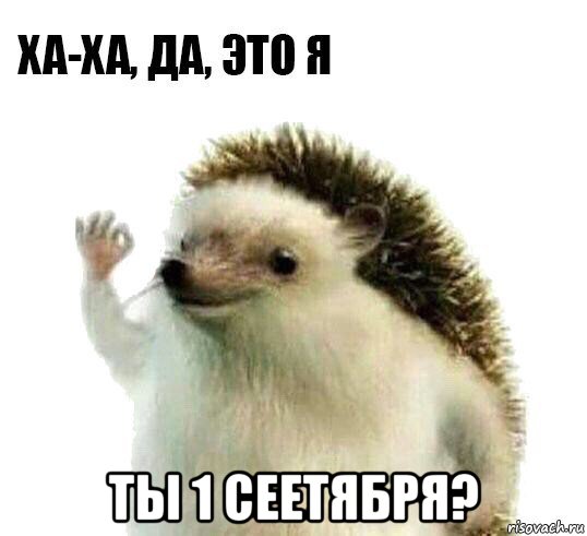  ты 1 сеетября?