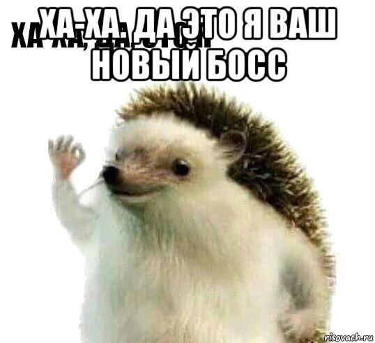 ха-ха. да это я ваш новый босс 