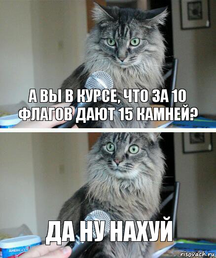 а Вы в курсе, что за 10 флагов дают 15 камней? Да ну нахуй, Комикс  кот с микрофоном