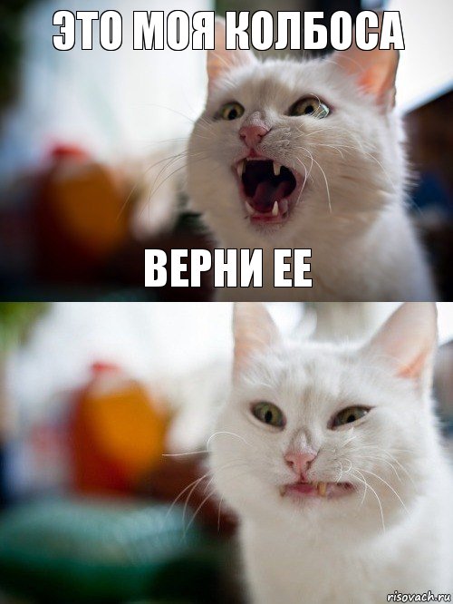 Это моя колбоса Верни ее