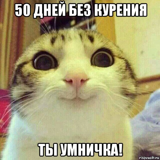 50 дней без курения ты умничка!, Мем       Котяка-улыбака