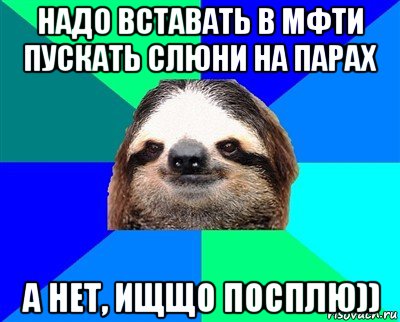 надо вставать в мфти пускать слюни на парах а нет, ищщо посплю)), Мем Ленивец