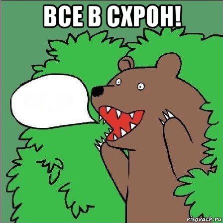 все в схрон! , Мем Медведь-шлюха