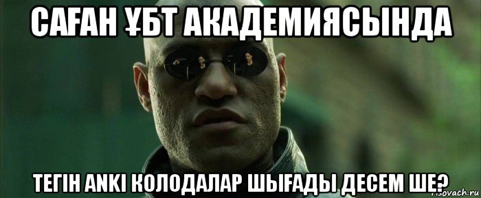 саҒан Ұбт академиясында тегін аnki колодалар шыҒады десем ше?, Мем  морфеус