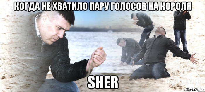 когда не хватило пару голосов на короля sher