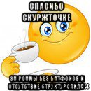 спасибо скуржточке за роамы без батфонов и отсутствие структуропила, Мем Начни свой день