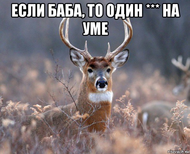 если баба, то один *** на уме , Мем   Наивный олень