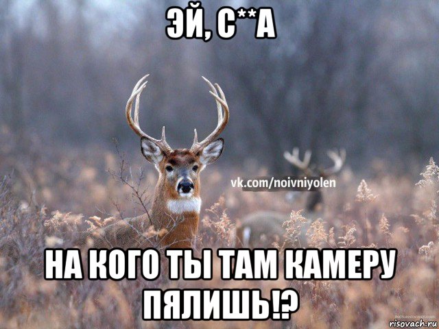 эй, с**а на кого ты там камеру пялишь!?