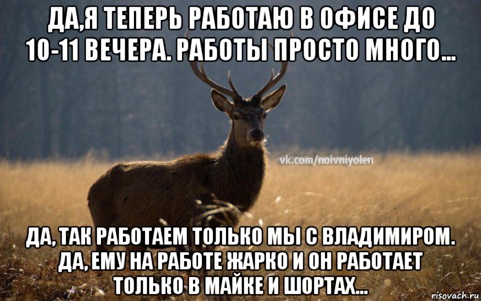 да,я теперь работаю в офисе до 10-11 вечера. работы просто много... да, так работаем только мы с владимиром. да, ему на работе жарко и он работает только в майке и шортах..., Мем Наивный Олень vk2