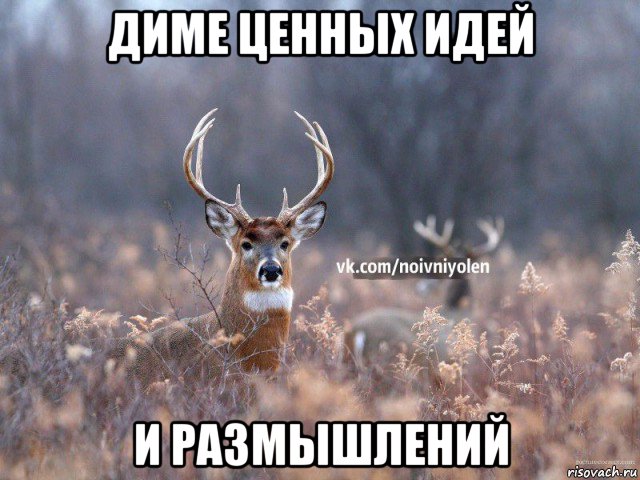 диме ценных идей и размышлений