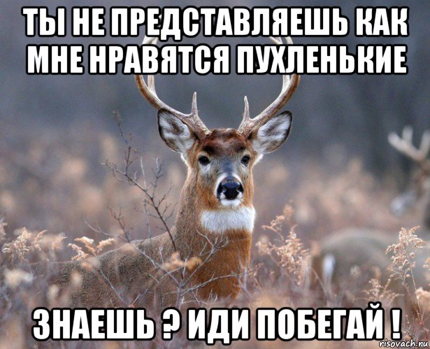 ты не представляешь как мне нравятся пухленькие знаешь ? иди побегай !, Мем   Наивный олень