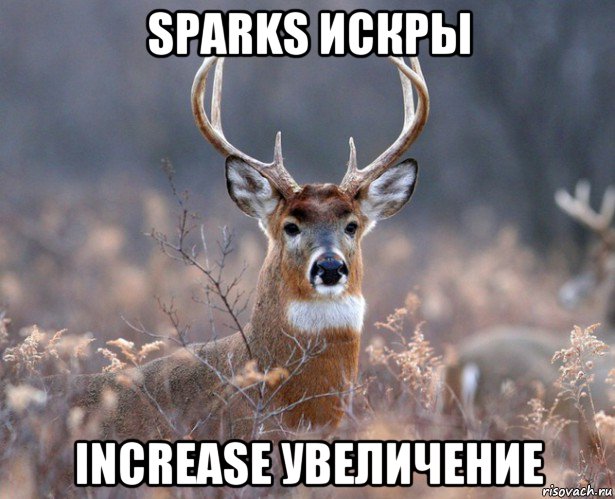 sparks искры increase увеличение, Мем   Наивный олень