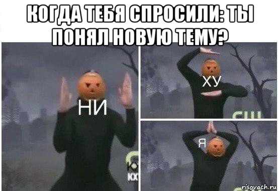 когда тебя спросили: ты понял новую тему? , Мем  Ни ху Я