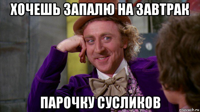 хочешь запалю на завтрак парочку сусликов, Мем Ну давай расскажи (Вилли Вонка)