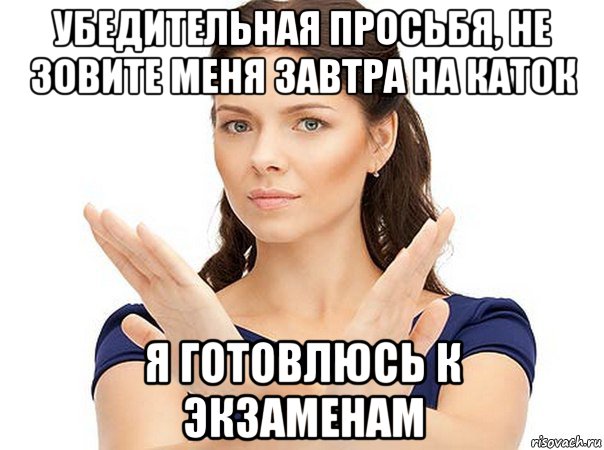 убедительная просьбя, не зовите меня завтра на каток я готовлюсь к экзаменам, Мем Огромная просьба