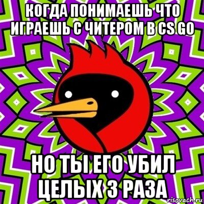 когда понимаешь что играешь с читером в cs go но ты его убил целых 3 раза, Мем Омская птица