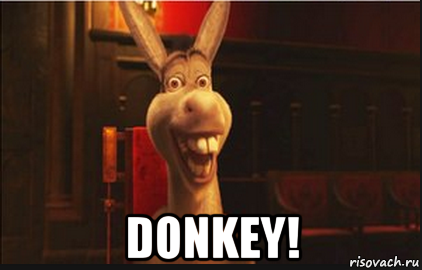  donkey!, Мем Осел из Шрека