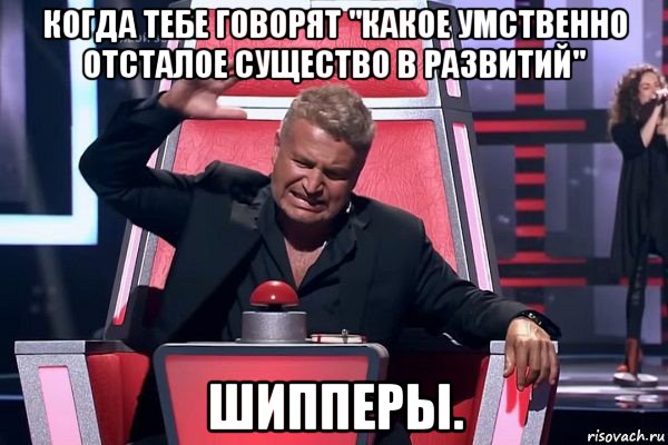 когда тебе говорят "какое умственно отсталое существо в развитий" шипперы., Мем   Отчаянный Агутин