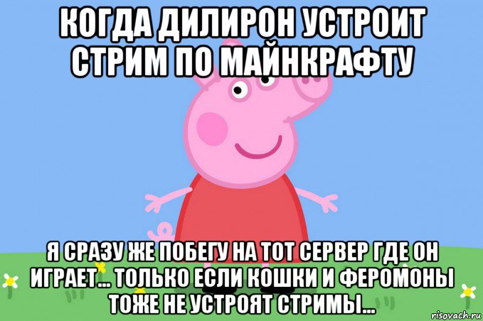 когда дилирон устроит стрим по майнкрафту я сразу же побегу на тот сервер где он играет... только если кошки и феромоны тоже не устроят стримы..., Мем Пеппа